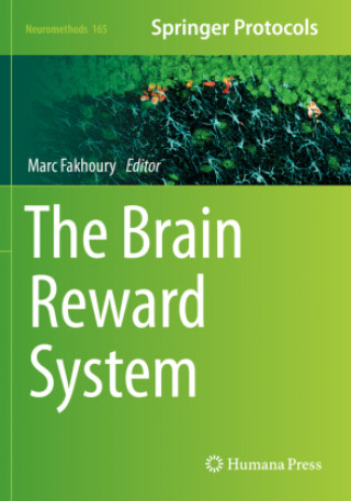 Książka The Brain Reward System 