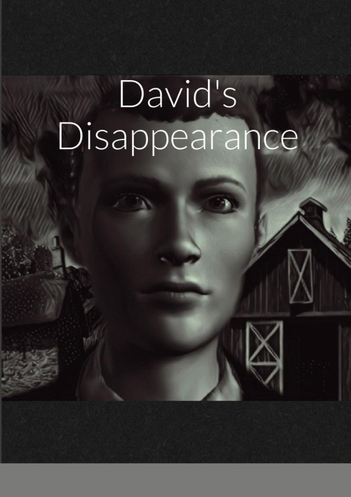Knjiga David's Disappearance Kelly Hauger