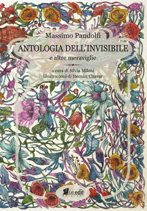 Kniha Antologia dell'invisibile e altre meraviglie Massimo Pandolfi
