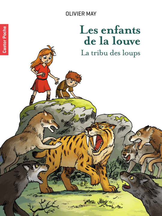 Boek Les enfants de la louve OLIVIER MAY