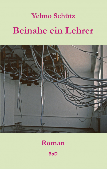 Knjiga Beinahe ein Lehrer 
