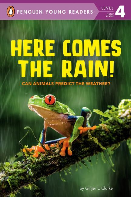 Buch Here Comes the Rain!: Can Animals Predict the Weather? Ginjer L. Clarke