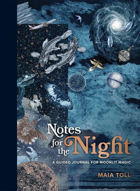 Kniha Notes for the Night Lucille Clerc