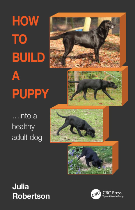 Kniha How to Build a Puppy Robertson
