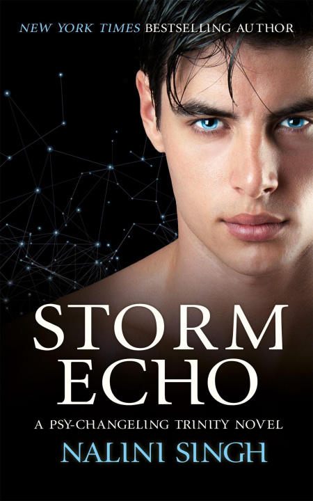 Kniha Storm Echo Nalini Singh