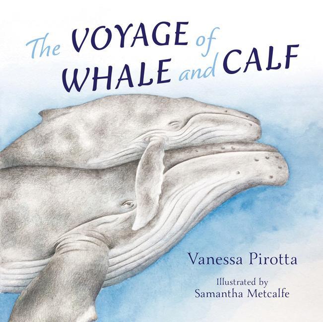 Carte Voyage of Whale and Calf Vanessa Pirotta