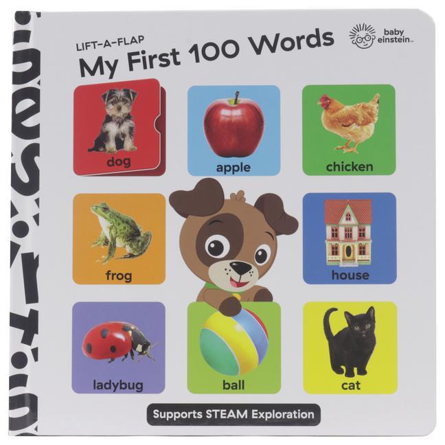 Carte Baby Einstein: My First 100 Words Lift-A-Flap: Lift-A-Flap Shutterstock Com