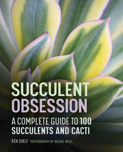 Kniha Succulent Obsession: A Complete Guide 