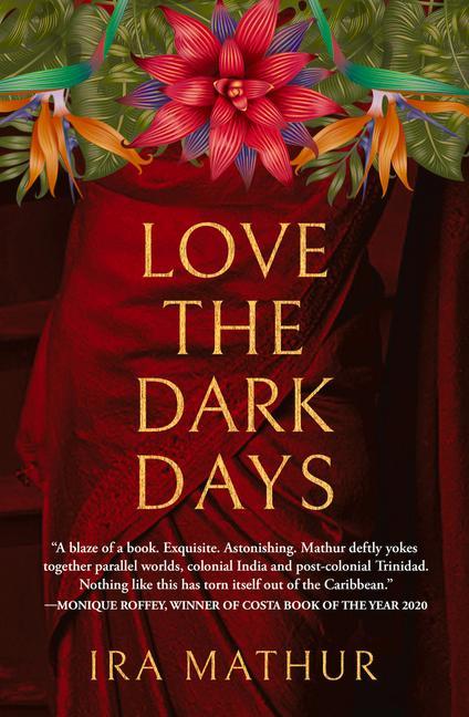 Kniha Love the Dark Days 