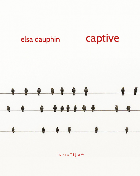 Knjiga Captive Dauphin