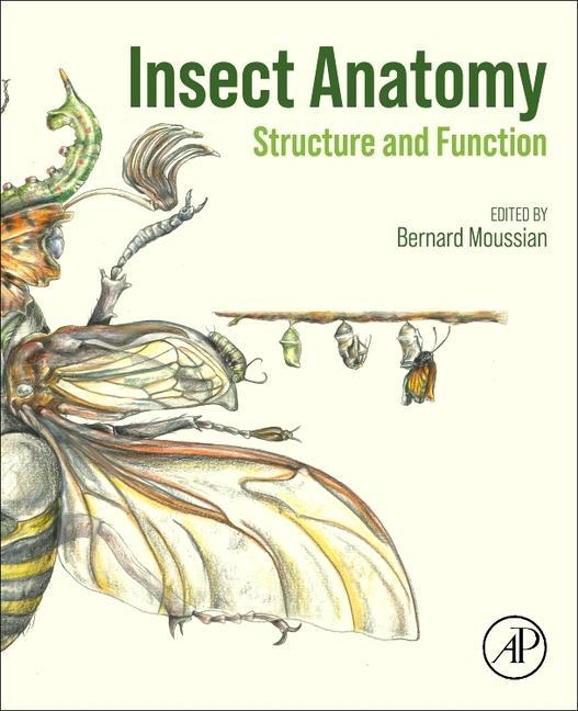 Kniha Insect Anatomy Bernard Moussian