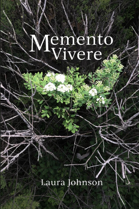 Buch Memento Vivere Laura Johnson