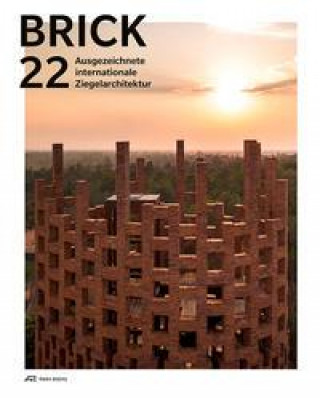 Kniha Brick 22 