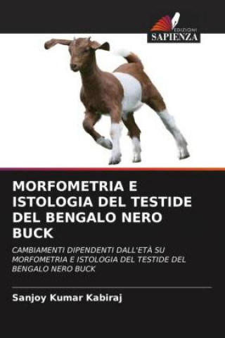 Książka MORFOMETRIA E ISTOLOGIA DEL TESTIDE DEL BENGALO NERO BUCK 