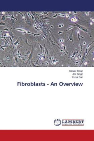 Boek Fibroblasts - An Overview Anil Singh