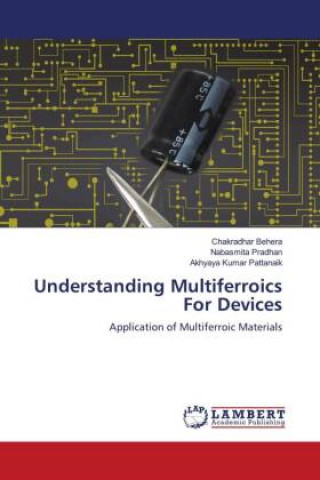 Kniha Understanding Multiferroics For Devices Nabasmita Pradhan
