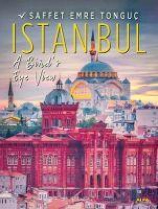 Carte Istanbul A Birds Eye View 