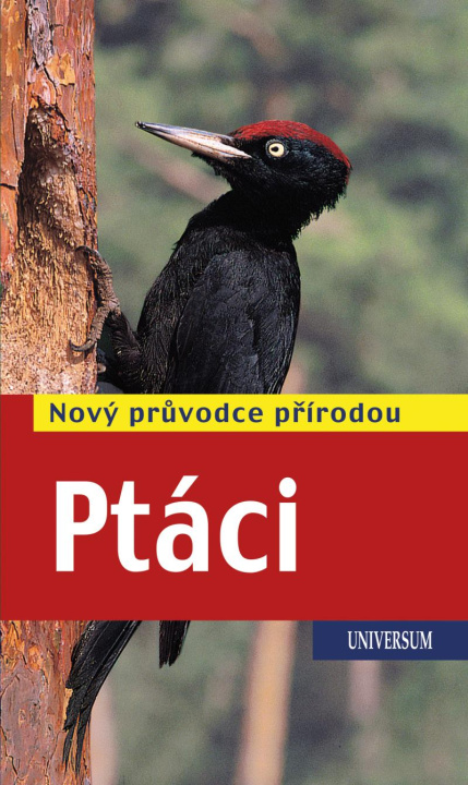Książka Ptáci Volker Dierschke