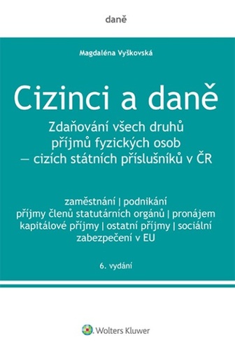 Βιβλίο Cizinci a daně Magdaléna Vyškovská