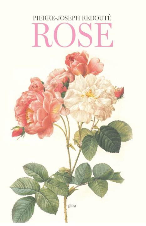 Carte Rose Pierre-Joseph Redouté