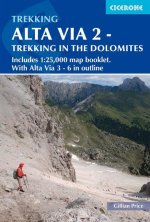 Könyv Alta Via 2 - Trekking in the Dolomites Gillian Price