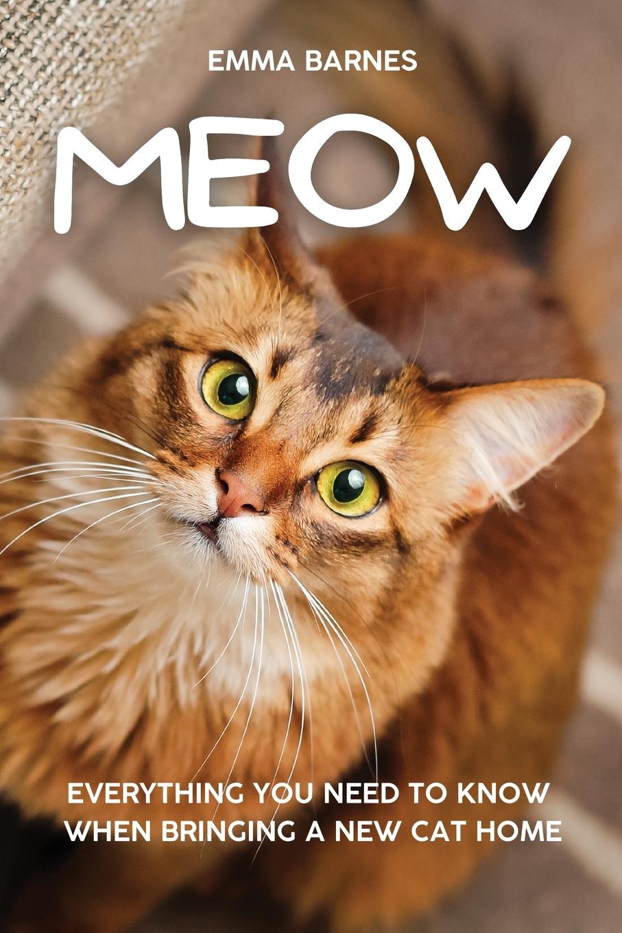 Kniha Meow Emma Barnes