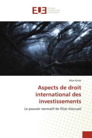 Kniha Aspects de droit international des investissements 