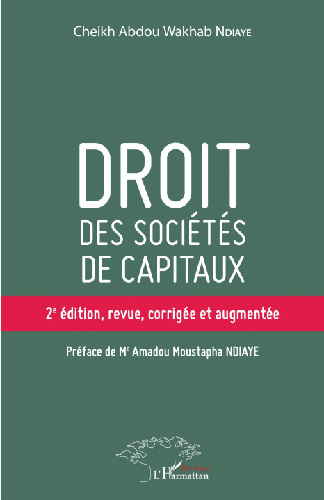 Kniha Droit des sociétés de capitaux (2e éd) Ndiaye