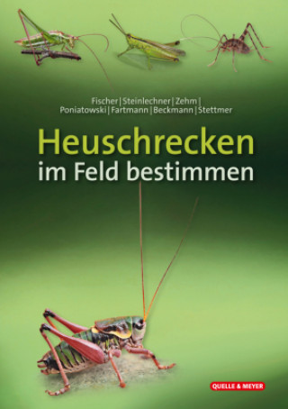 Könyv Heuschrecken im Feld bestimmen Daniela Steinlechner