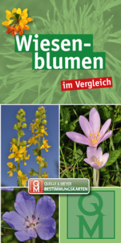 Knjiga Wiesenblumen Quelle & Meyer Verlag