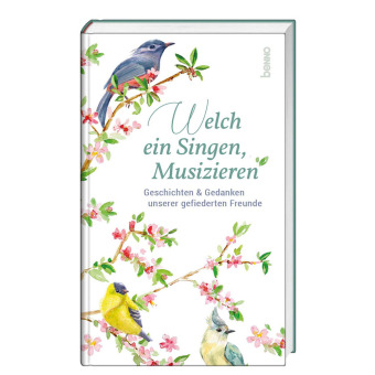 Könyv Welch ein Singen, Musizieren 