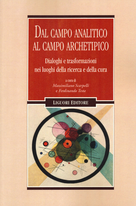 Könyv Dal campo analitico al campo archetipico. Dialoghi e trasformazioni nei luoghi della ricerca e della cura 