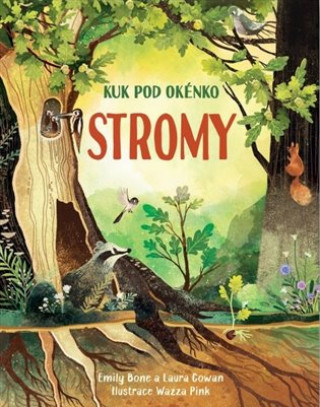 Book Stromy Emily Bone