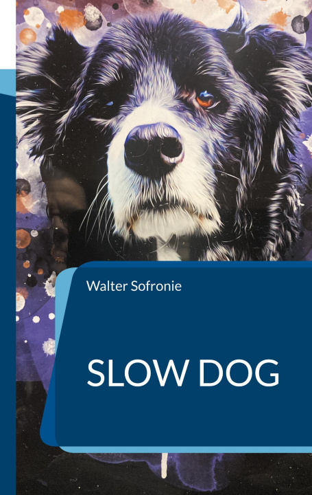 Knjiga Slow Dog Walter Sofronie