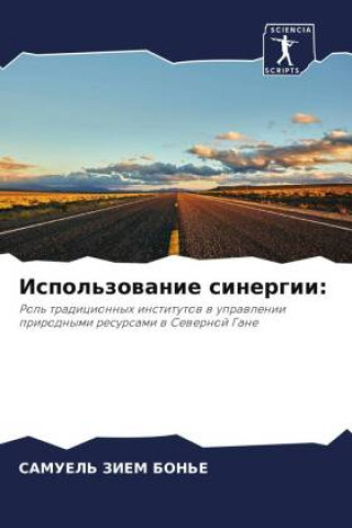 Knjiga Ispol'zowanie sinergii: SAMUEL' ZIEM BON'E