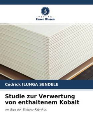 Knjiga Studie zur Verwertung von enthaltenem Kobalt Cédrick Ilunga Sendele