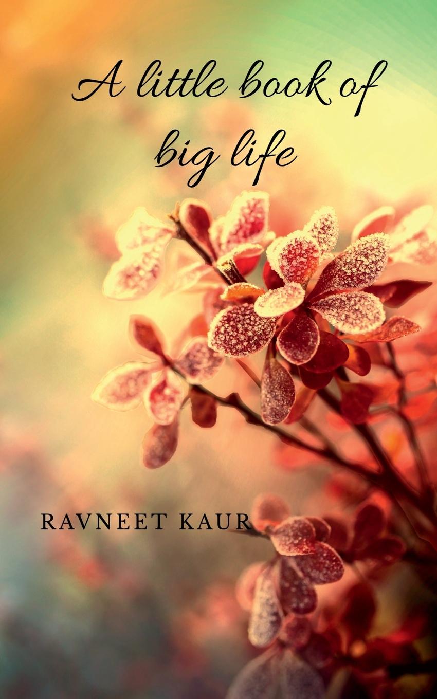 Knjiga little book of big life Ravneet Kaur