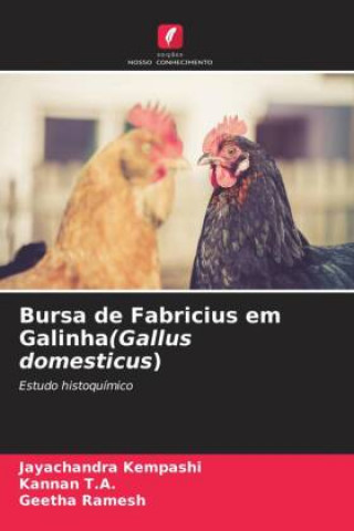 Kniha Bursa de Fabricius em Galinha(Gallus domesticus) Kannan T. A.