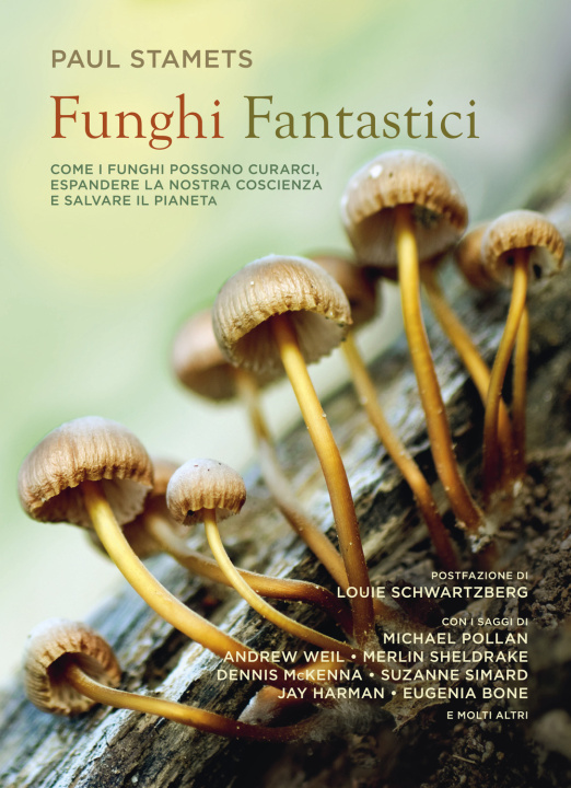 Könyv Funghi fantastici 