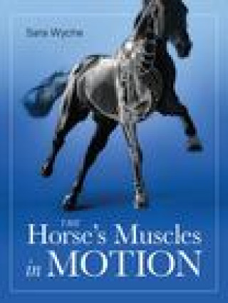 Książka Horse's Muscles in Motion Sara Wyche