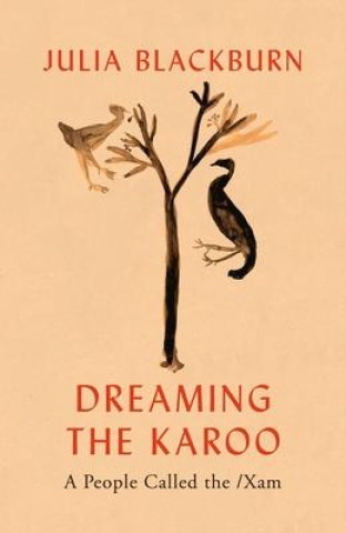 Könyv Dreaming the Karoo Julia Blackburn
