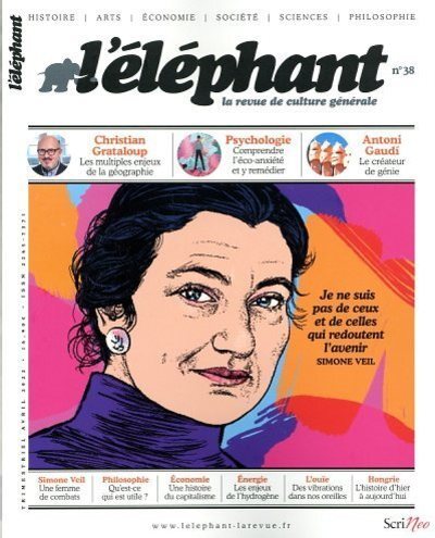 Joc / Jucărie Elephant - N° 38 collegium