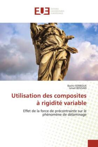 Knjiga Utilisation des composites a rigidite variable Ismail Bensaid
