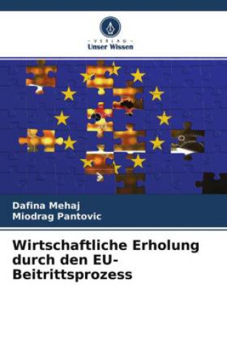 Buch Wirtschaftliche Erholung durch den EU-Beitrittsprozess Miodrag Pantovic