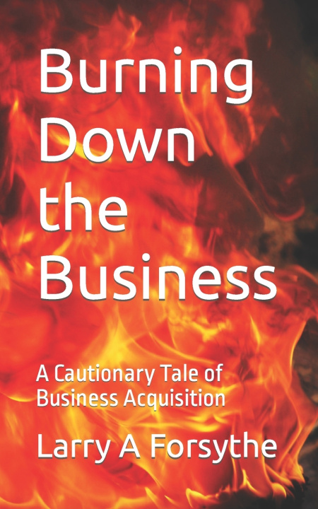 Buch Burning Down the Business Larry A Forsythe