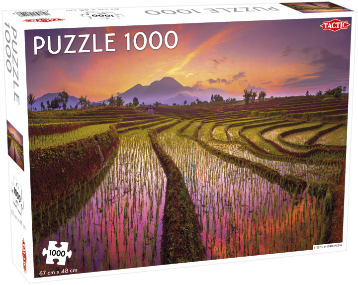 Hra/Hračka Puzzle Fields in Indonesia 1000 