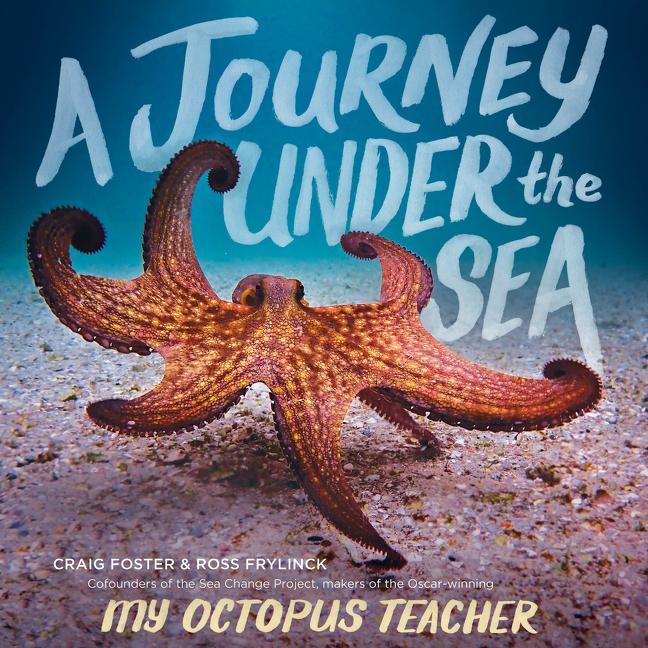 Book Journey Under the Sea Ross Frylinck