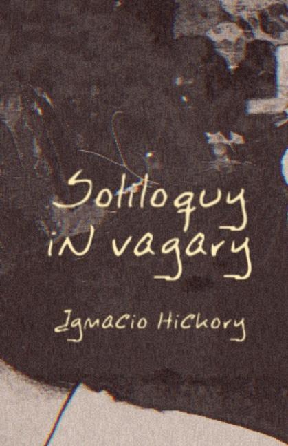 Buch Soliloquy in Vagary Sarah Sheppeck