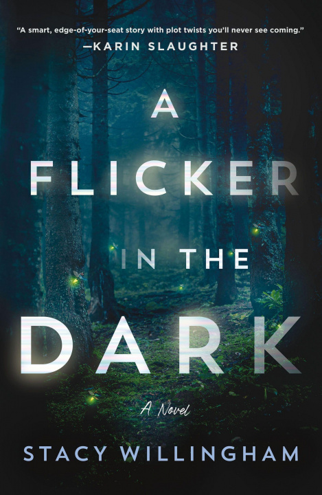 Kniha Flicker in the Dark 