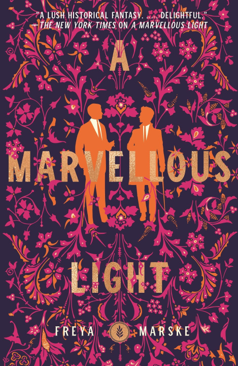 Könyv A Marvellous Light 
